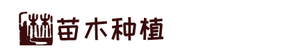 437ccm·必赢国际